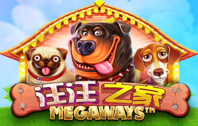今年会平台怎么样