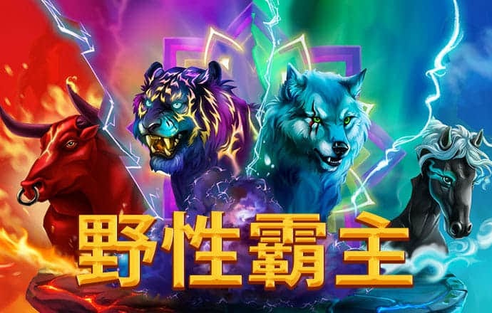 云开体育app网页版入口
